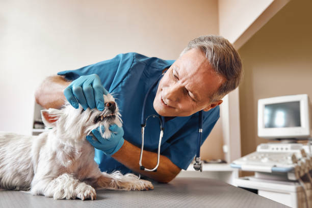 Best Emergency Tooth Extraction in Ashford, AL